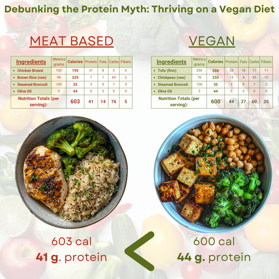 Protein Myth